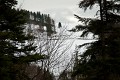 Image007__DSC0042
